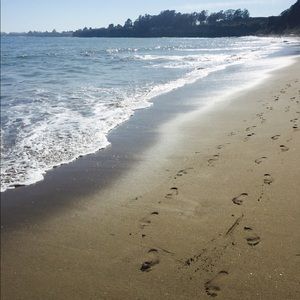 Meet your Posher, Genevieve